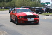 Red Mustang